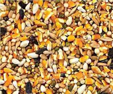 Cattle feed 